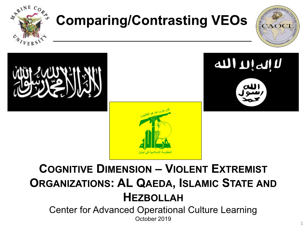 VEO Cognitive Dimension SMA Variant Brief-Compressed