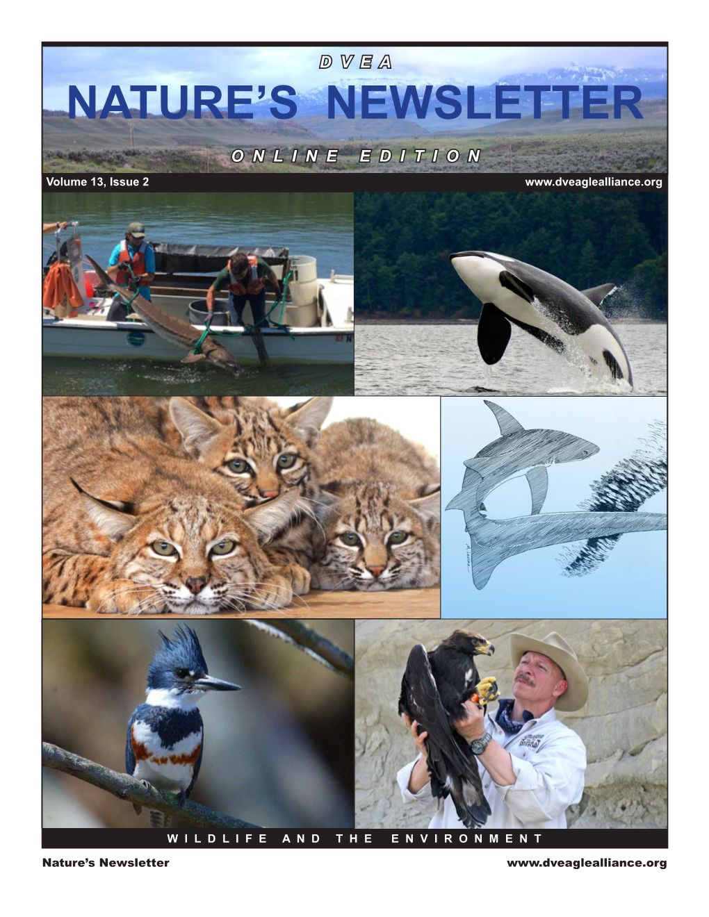 Nature's Newsletter