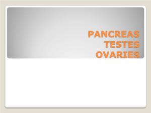 PANCREAS TESTES OVARIES  by the End of This Lesson, You Should Be Able To: • Describe the Structure and Function of the  Pancreas, Ovaries, Testes and the Placenta