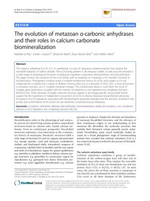 The Evolution of Metazoan Α-Carbonic Anhydrases and Their Roles In