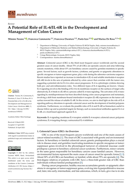 A Potential Role of IL-6/IL-6R in the Development and Management of Colon Cancer