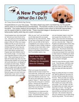 A New Puppy! (What Do I Do?) Jen Ticsay, Dances with Woofs Dog Training Congratulations on Your New Puppy