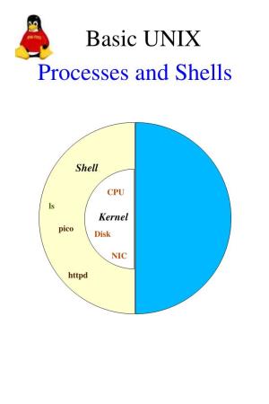 Basic UNIX Processes and Shells