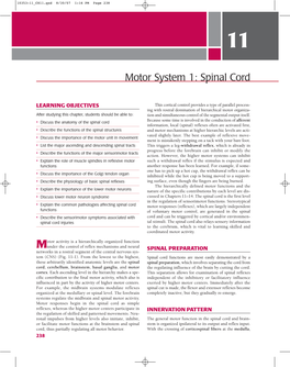 Motor System 1: Spinal Cord