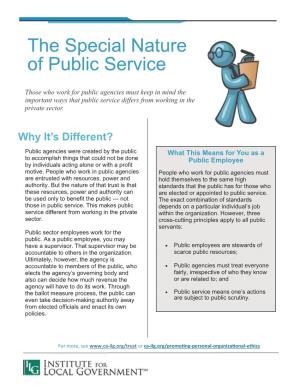 The Special Nature of Public Service