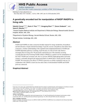 A Genetically Encoded Tool for Manipulation of NADP+/NADPH in Living Cells