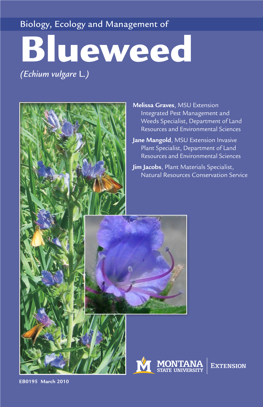 Blueweed (Echium Vulgare L.)