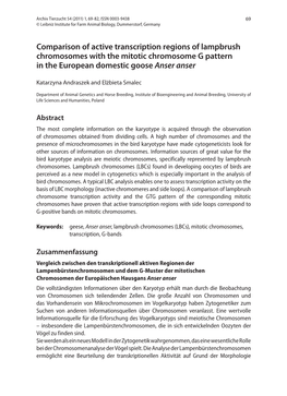 Comparison of Active Transcription Regions of Lampbrush Chromosomes with the Mitotic Chromosome G Pattern in the European Domestic Goose Anser Anser