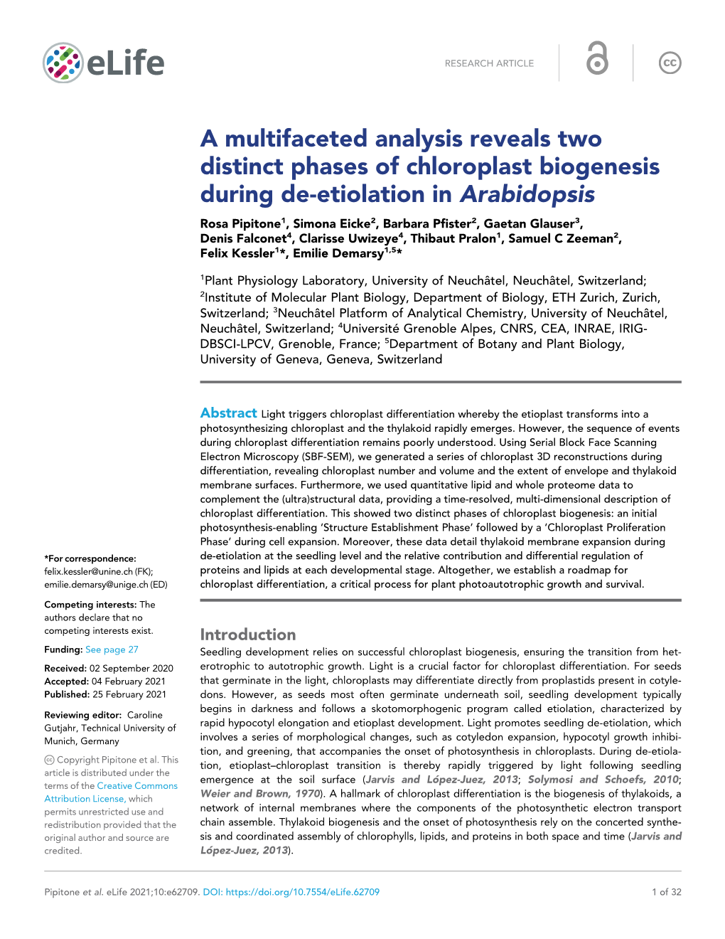 A Multifaceted Analysis Reveals Two Distinct Phases of Chloroplast