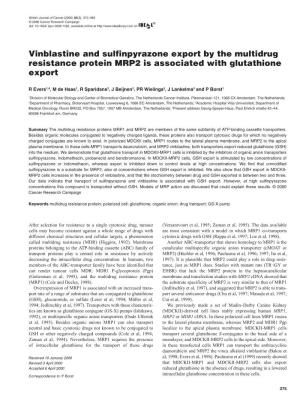 Vinblastine and Sulfinpyrazone Export by the Multidrug Resistance Protein MRP2 Is Associated with Glutathione Export