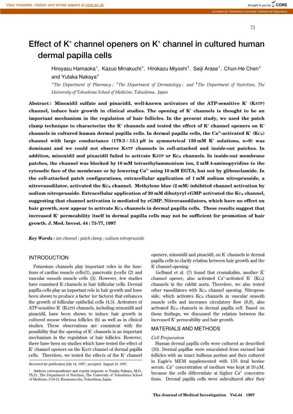 Effect of K+ Channel Openers on K+ Channel in Cultured Human Dermal Papilla Cells