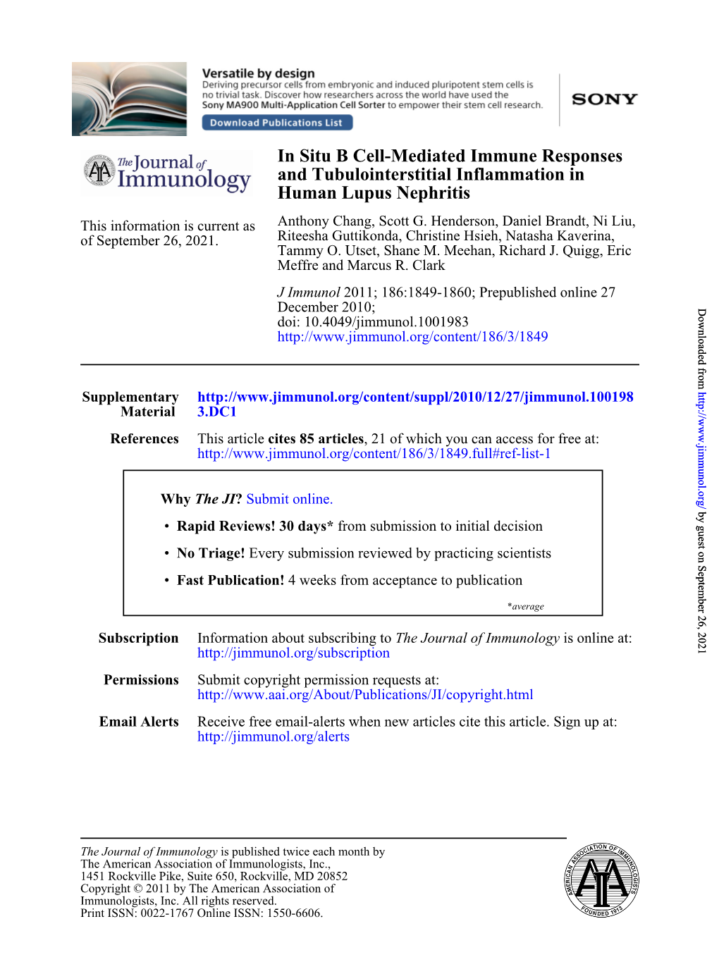 Human Lupus Nephritis and Tubulointerstitial Inflammation in In