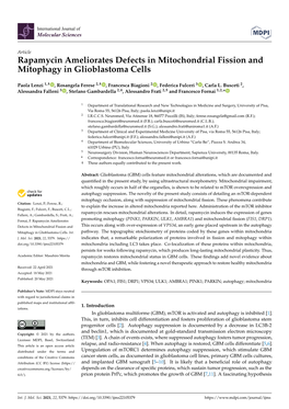 Rapamycin Ameliorates Defects in Mitochondrial Fission and Mitophagy in Glioblastoma Cells