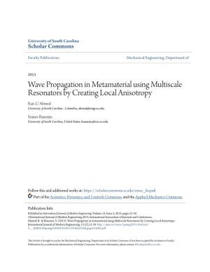 Wave Propagation in Metamaterial Using Multiscale Resonators by Creating Local Anisotropy Raiz U