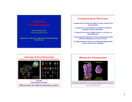 Meiosis & Sex Determination