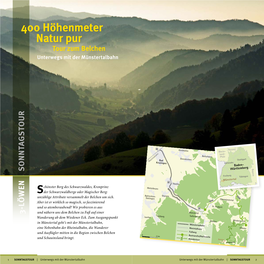 400 Höhenmeter Natur Pur Tour Zum Belchen Unterwegs Mit Der Münstertalbahn
