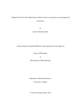Insights Into the Role of the Flagellar Glycosylation System in Campylobacter Jejuni Phage-Host Interactions by Jessica Christia
