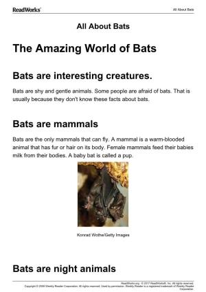 The Amazing World of Bats