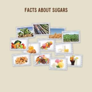 Facts About Sugars – Brochure