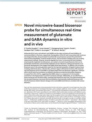 Novel Microwire-Based Biosensor Probe for Simultaneous Real-Time Measurement of Glutamate and GABA Dynamics in Vitro and in Vivo