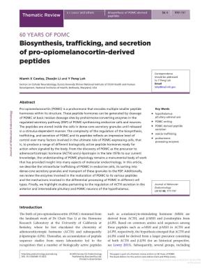60 YEARS of POMC: Biosynthesis, Trafficking, and Secretion of Pro