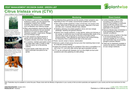 Citrus Tristeza Virus (CTV) Citrus Tristeza Virus Grapefruit Stem Pitting Prevention Monitoring Direct Control