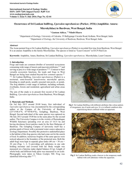 42 Occurrence of Sri Lankan Bullfrog, Uperodon Taprobanicus (Parker