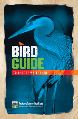 English Bird Guide