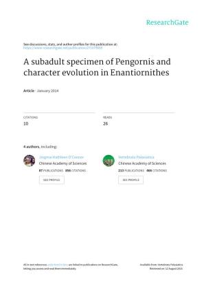 A Subadult Specimen of Pengornis and Character Evolution in Enantiornithes