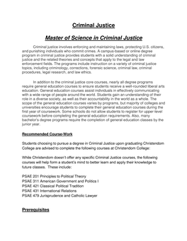 Criminal Justice.Docx