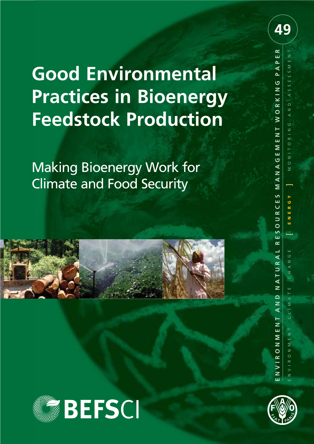 Good Environmental Practices in Bioenergy Feedstock Production 49