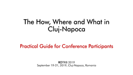 Practical Guide for Conference Participants