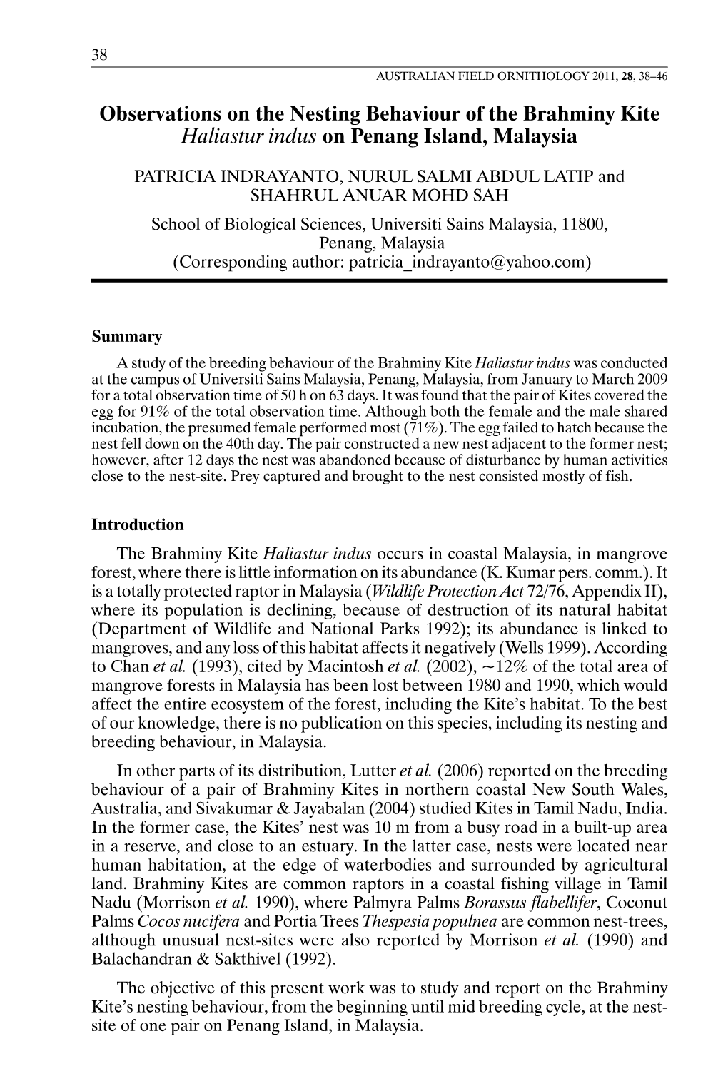 Observations on the Nesting Behaviour of the Brahminy Kite Haliastur Indus on Penang Island, Malaysia