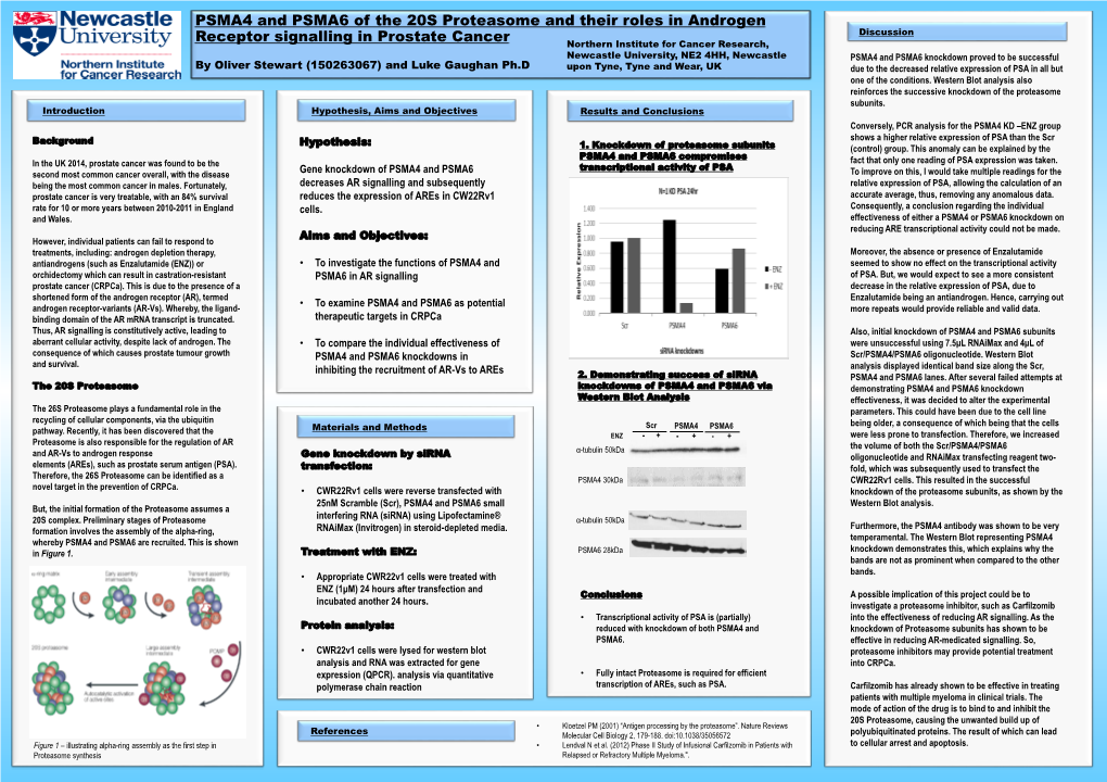 Oliver Stewart (150263067) and Luke Gaughan Ph.D Upon Tyne, Tyne and Wear, UK Due to the Decreased Relative Expression of PSA in All but One of the Conditions