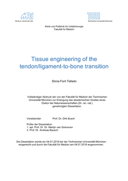 Tissue Engineering of the Tendon/Ligament-To-Bone Transition
