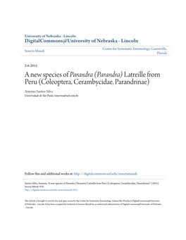 A New Species of &lt;I&gt;Parandra (Parandra)&lt;/I&gt; Latreille from Peru