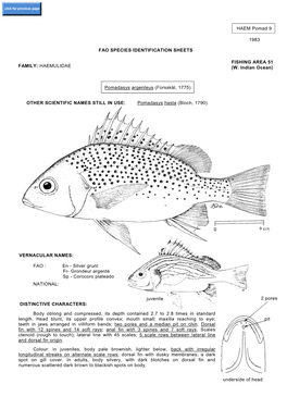 HAEMULIDAE FISHING AREA 51 (W. Indian Ocean) Pomadasys Argenteus