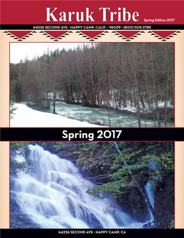 Spring 2017 Newsletter