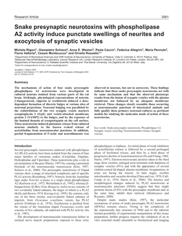 Snake Presynaptic Neurotoxins with Phospholipase A2 Activity Induce Punctate Swellings of Neurites and Exocytosis of Synaptic Vesicles