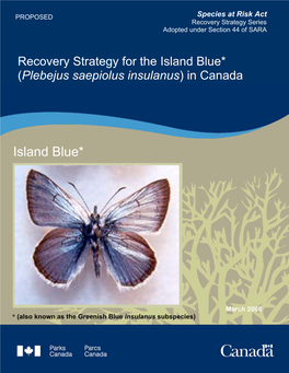 Recovery Strategy for the Island Blue (Plebejus Saepiolus Insulanus) Consists of Two Parts