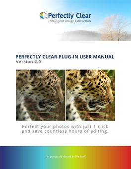 PERFECTLY CLEAR PLUG-IN USER MANUAL Version 2.0
