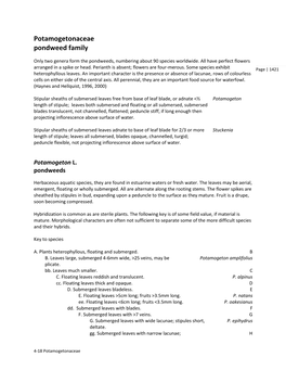 Potamogetonaceae Pondweed Family