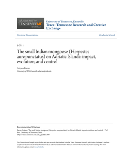 (Herpestes Auropunctatus) on Adriatic Islands: Impact, Evolution, and Control Arijana Barun University of TN, Knoxville, Abarun@Utk.Edu