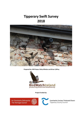 Tipperary Swift Survey 2018