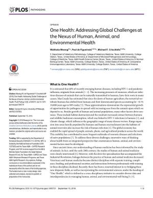 Addressing Global Challenges at the Nexus of Human, Animal, and Environmental Health