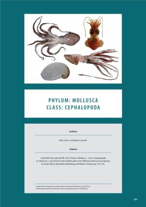 Phylum: Mollusca Class: Cephalopoda