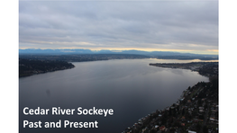 History of Sockeye Salmon in Lake Washington