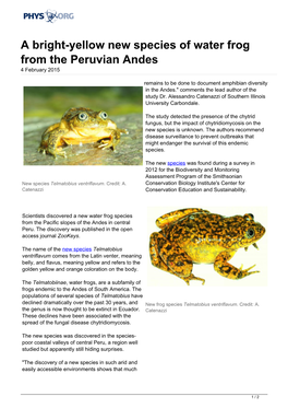 A Bright-Yellow New Species of Water Frog from the Peruvian Andes 4 February 2015