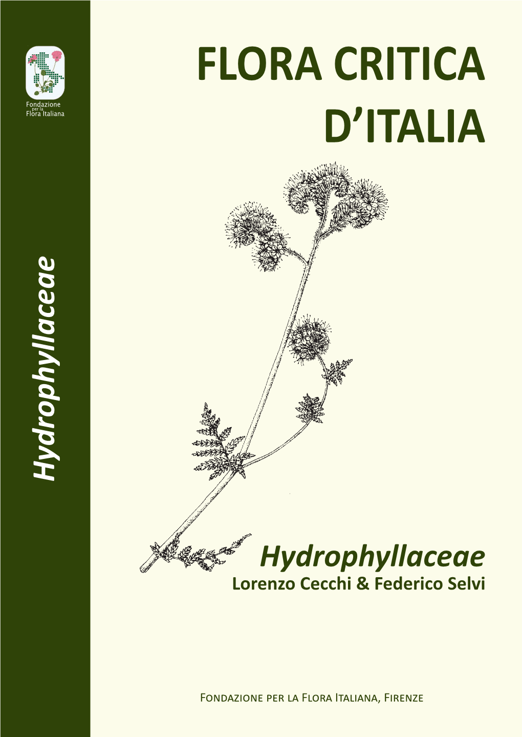 Hydrophyllaceae
