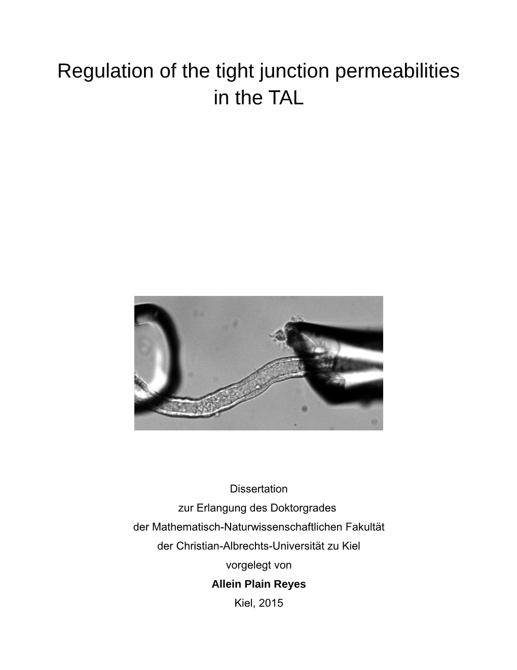 Regulation of the Tight Junction Permeabilities in the TAL